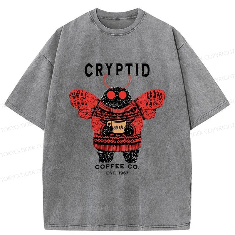 Japanese vintage washed t-shirt for summer