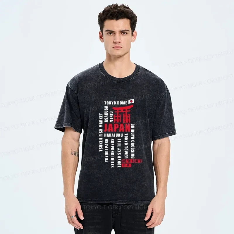 Kyoto-Lion Japanese Attractions Collection Washed T-Shirt