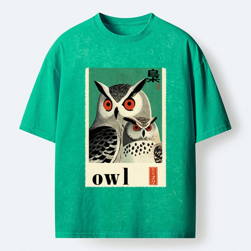 Eagle Owls Vintage T-Shirt for Gift Idea