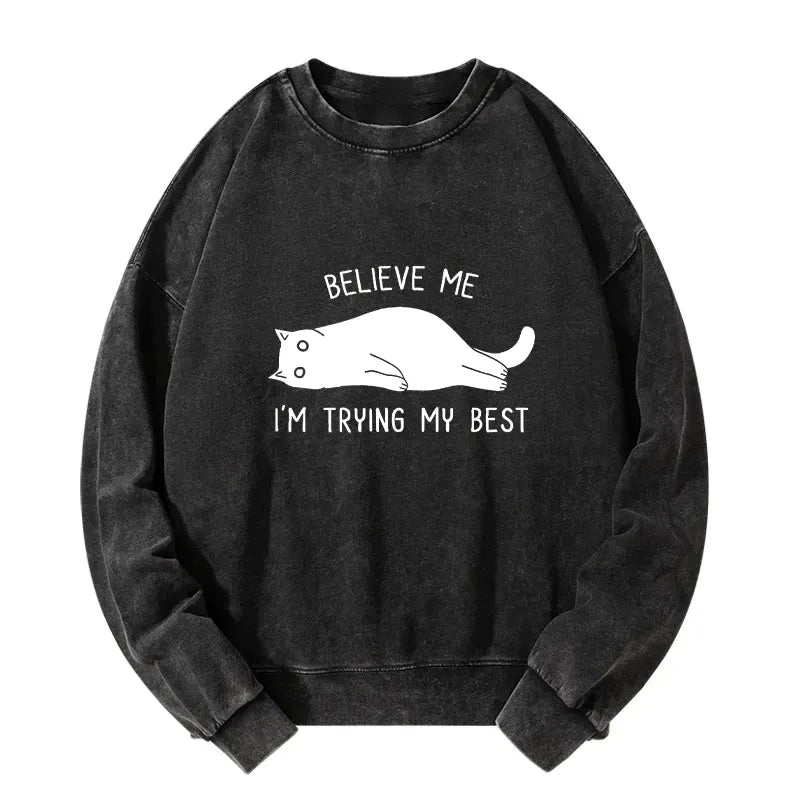 Kyoto-Lion When Life Is Hard Nap First Washed Sweatshirt