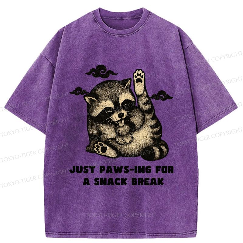 Vintage Japanese Raccoon T-Shirt for Streetwear