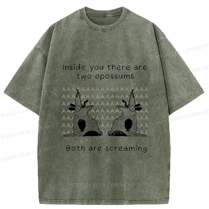 Japanese vintage washed t-shirt