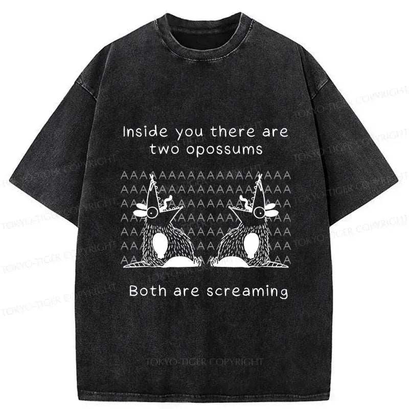 Japanese vintage washed t-shirt