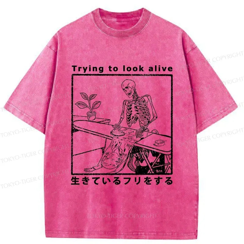 Kyoto-Lion Japanese Culture T-Shirt Deal