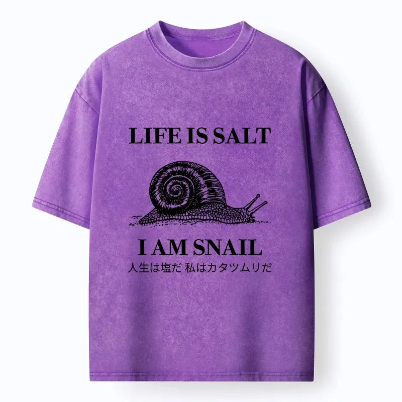 washed meme t-shirt for daily wear