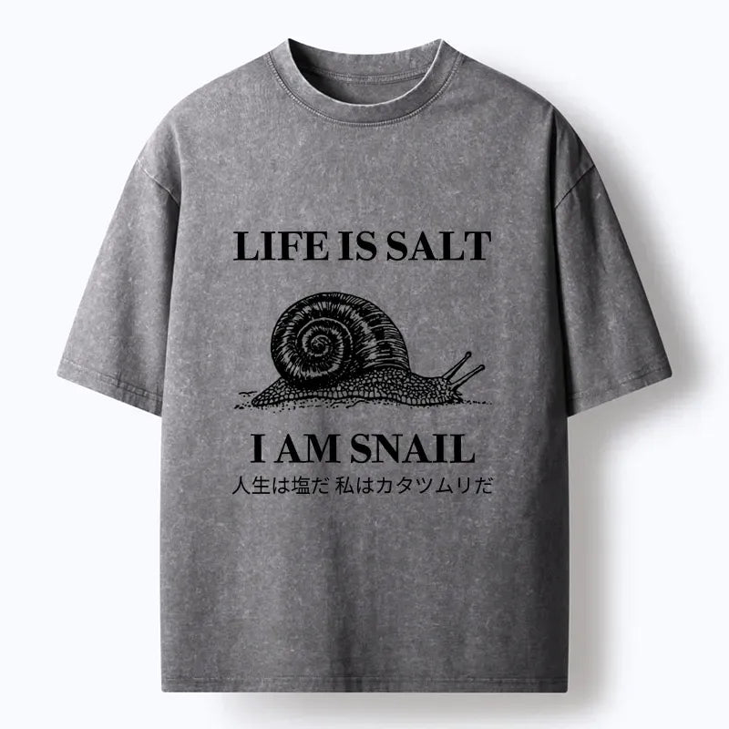Kyoto-Lion Sad Snail Life Meme Washed T-Shirt