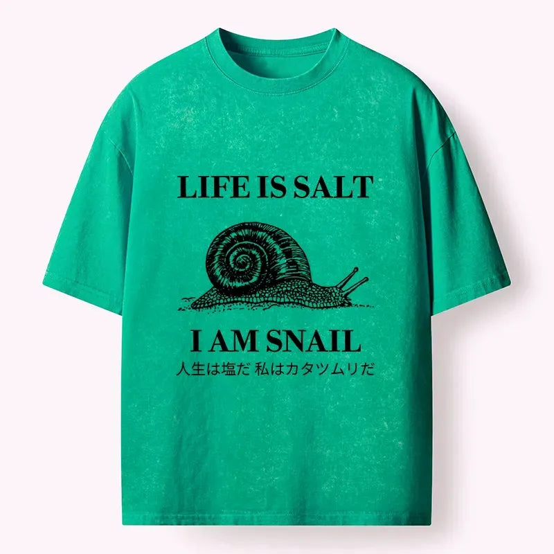 washed meme t-shirt for daily wear