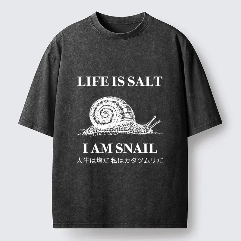 Kyoto-Lion Sad Snail Life Meme Washed T-Shirt