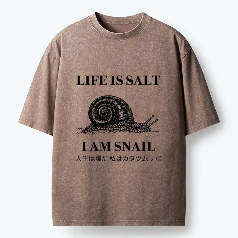 Kyoto-Lion Sad Snail Life Meme Washed T-Shirt