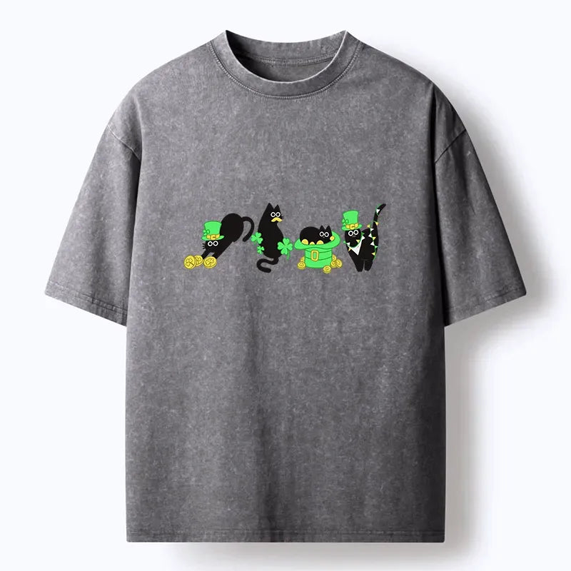 Kyoto-Lion Washed T-Shirt for Vacation