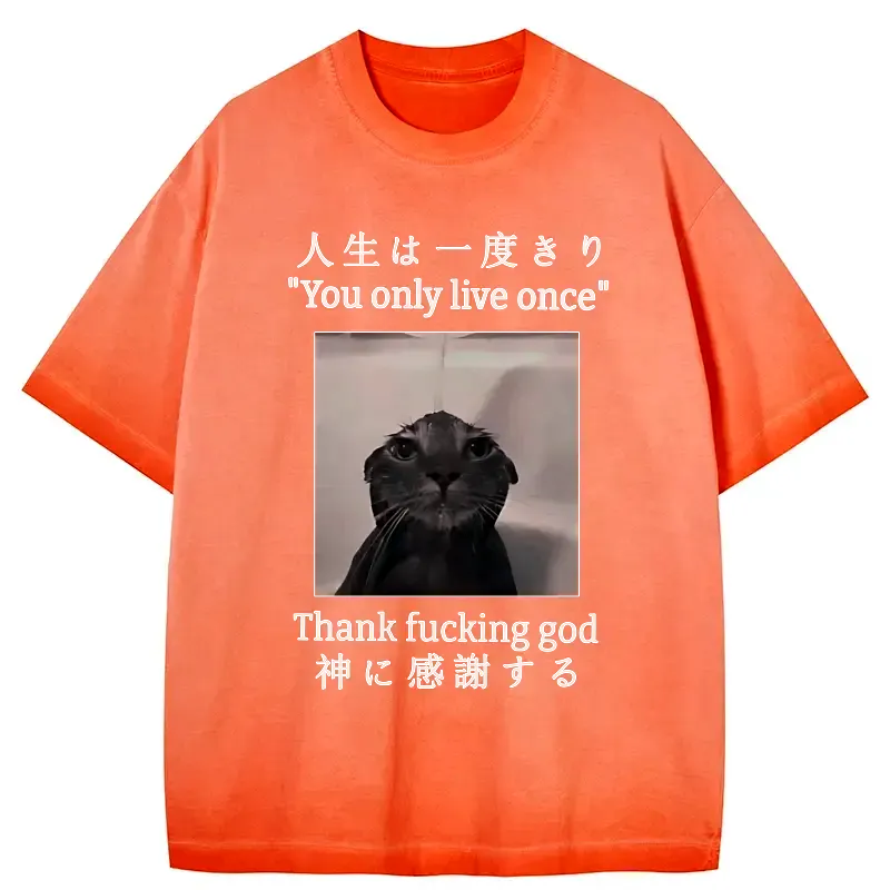 japanese funny cat gradient washed t-shirt