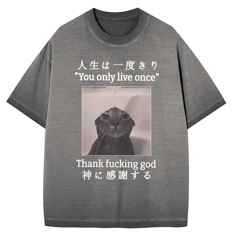 japanese funny cat gradient washed t-shirt