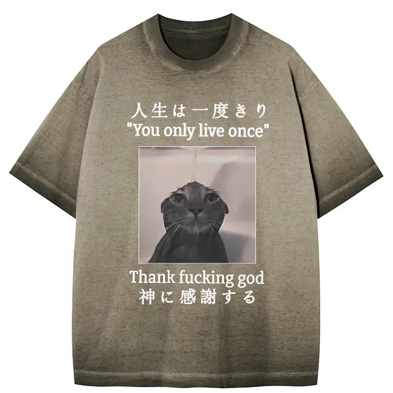kyoto lion melancholy cat t-shirt for daily wear