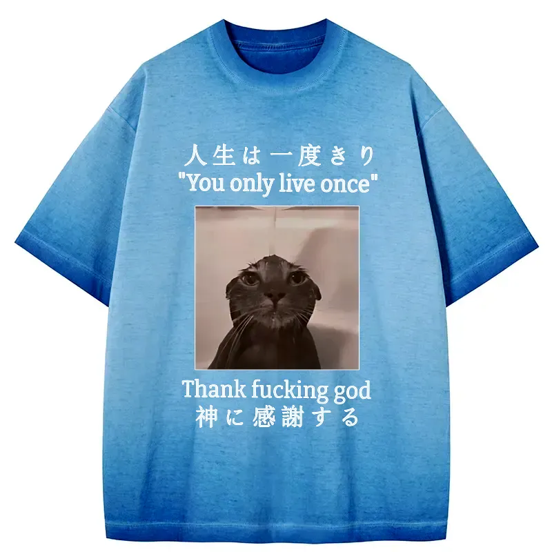 unique cat t-shirt gift idea for cat lovers