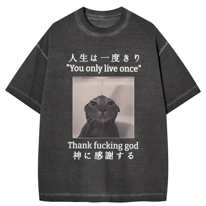 unique cat t-shirt gift idea for cat lovers