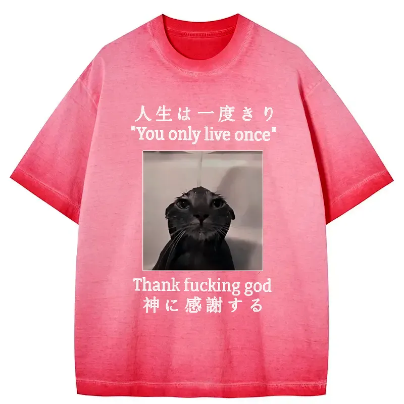 kyoto lion melancholy cat t-shirt for daily wear