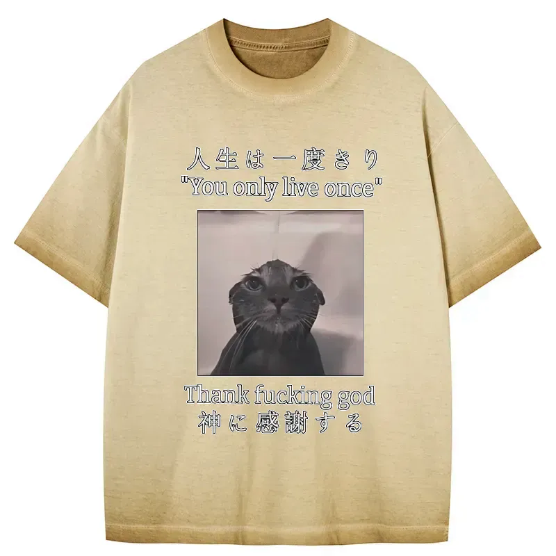 unique cat t-shirt gift idea for cat lovers