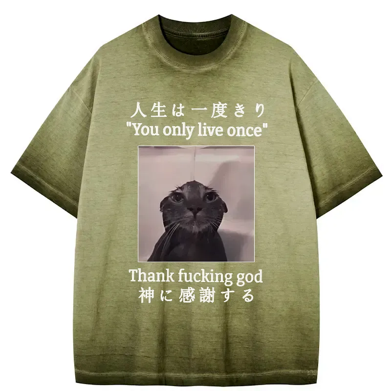 Kyoto-Lion Funny Melancholy Cat Gradient Washed T-Shirt