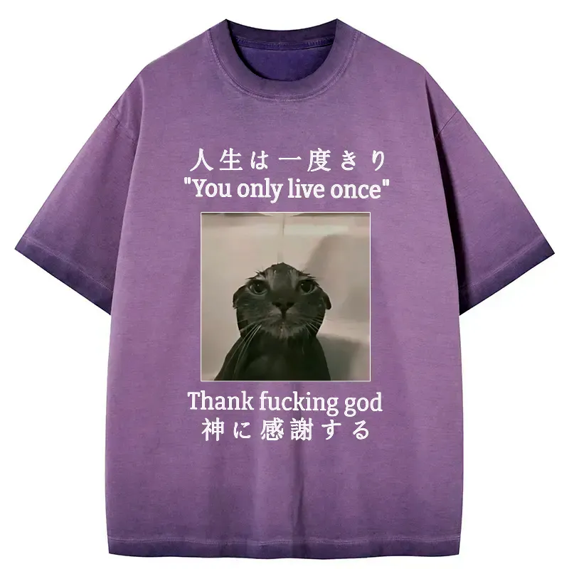 japanese funny cat gradient washed t-shirt