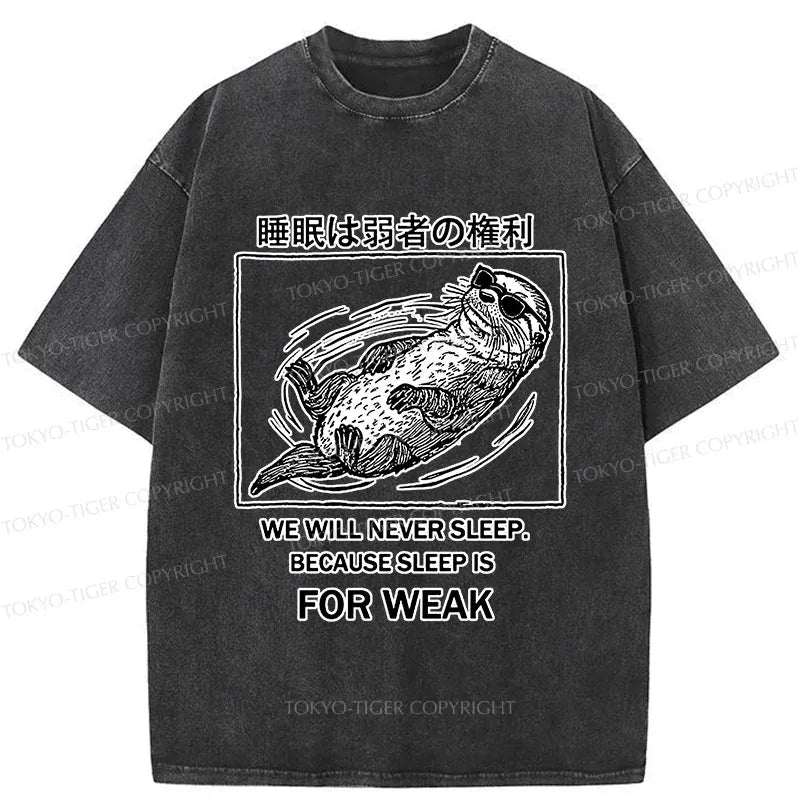 Kyoto lion streetwear t-shirt on sale