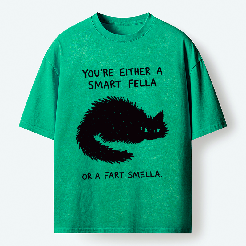Kyoto-Lion 'Smart Fella' Punny Cat Washed T-Shirt