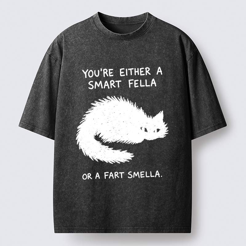 Kyoto-Lion 'Smart Fella' Punny Cat Washed T-Shirt