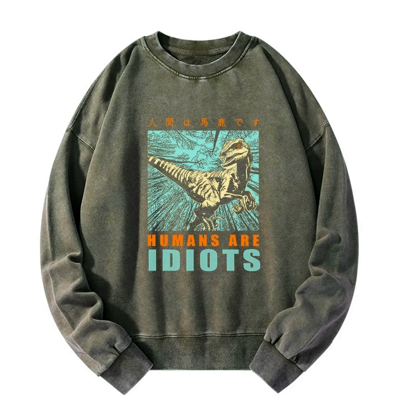 Kyoto-Lion Mocking Dinosaurs Japanese Washed Sweatshirt