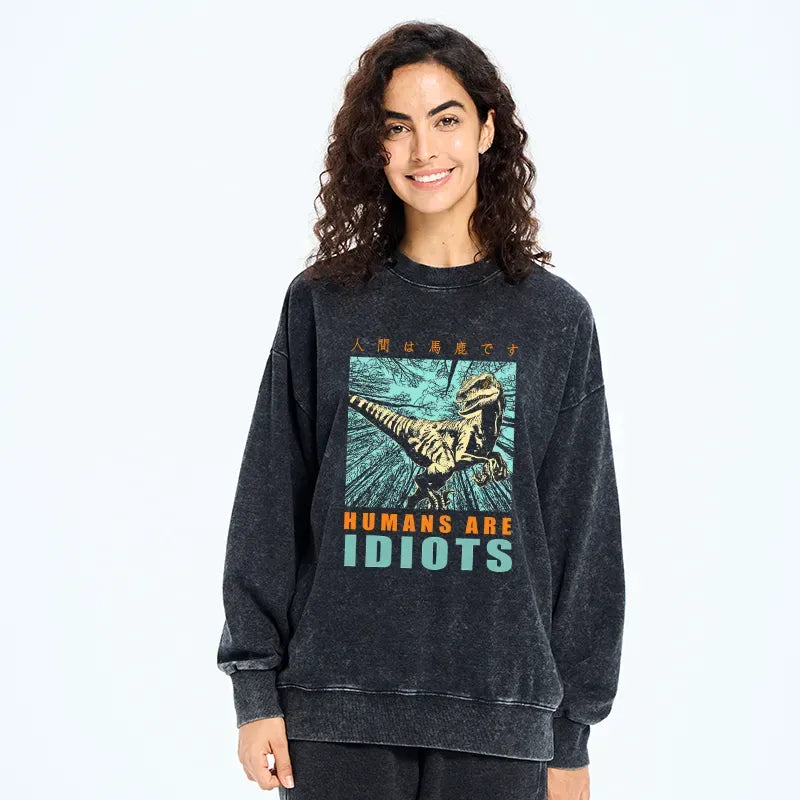 Kyoto-Lion Mocking Dinosaurs Japanese Washed Sweatshirt