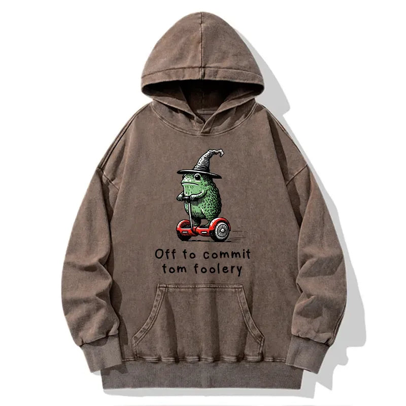 Kyoto-Lion Frog Riding A Balance Scooter Washed Hoodie
