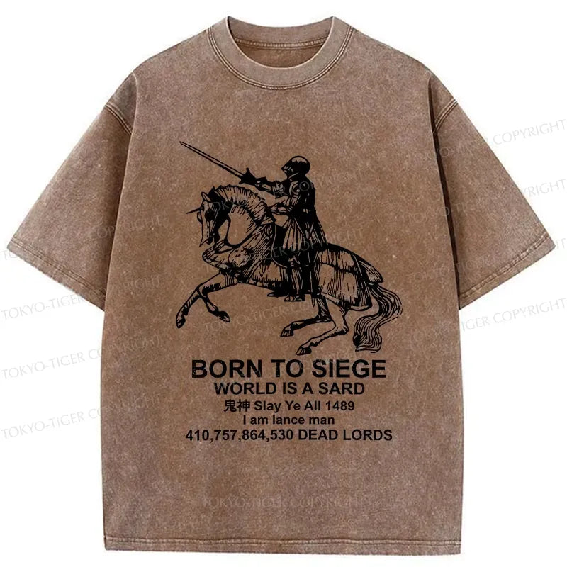 Kyoto Lion Ukiyo-e T-Shirt for Daily Wear