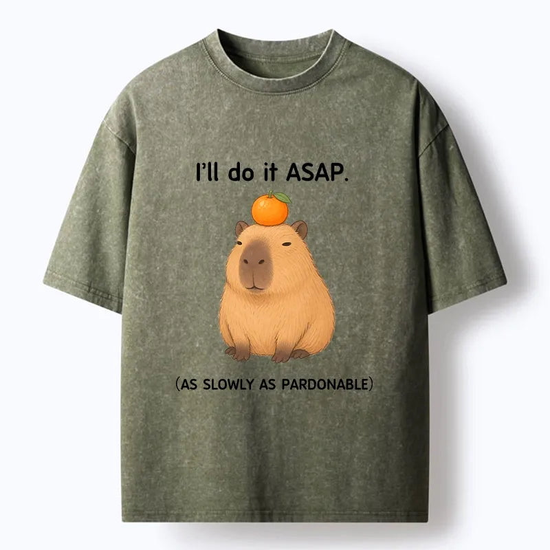 Kyoto-Lion Slow Task Capybara Meme Washed T-Shirt