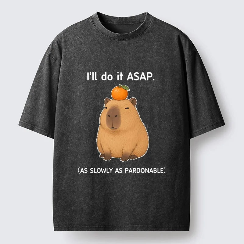 Kyoto-Lion Slow Task Capybara Meme Washed T-Shirt