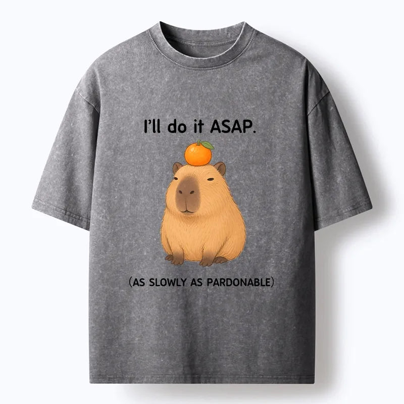 Kyoto-Lion Slow Task Capybara Meme Washed T-Shirt