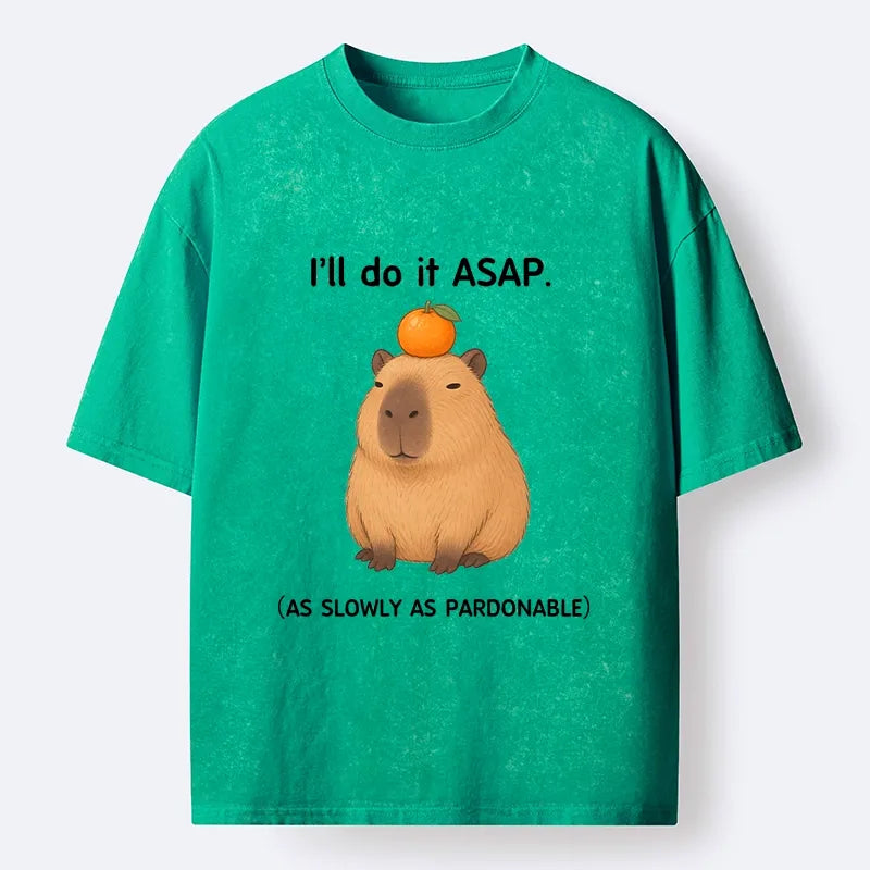 Kyoto-Lion Slow Task Capybara Meme Washed T-Shirt