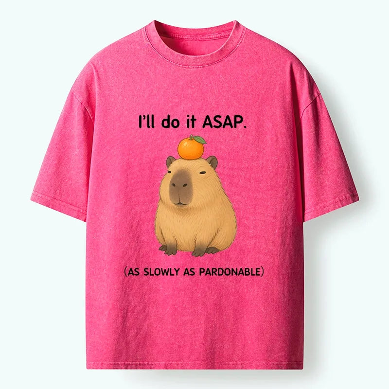 Kyoto-Lion Slow Task Capybara Meme Washed T-Shirt