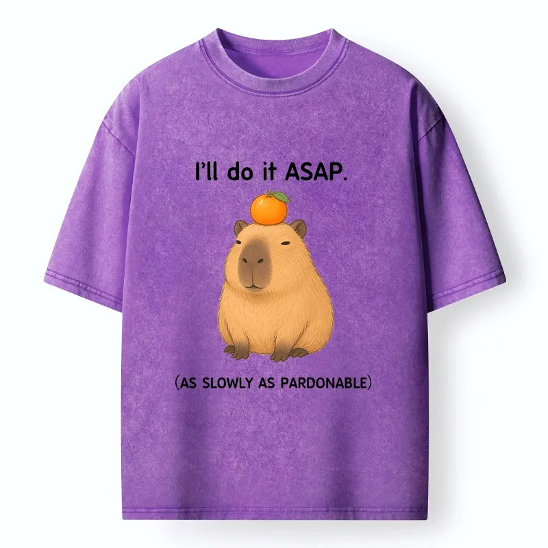 Kyoto-Lion Slow Task Capybara Meme Washed T-Shirt