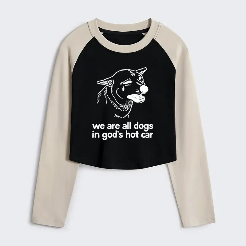 Japanese Vintage Raglan Tee Streetwear