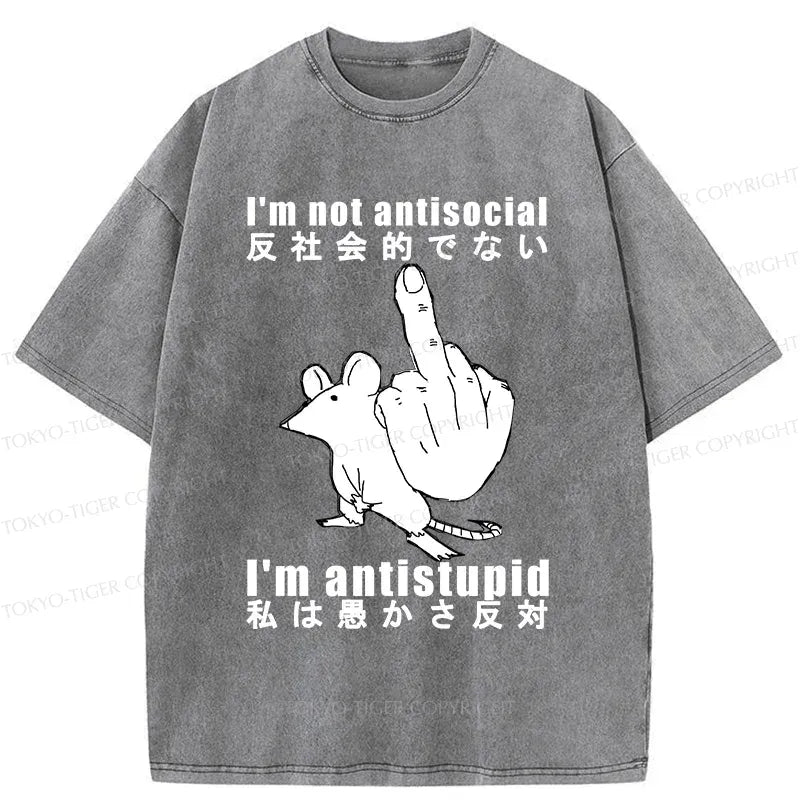 kyoto lion anti-stupid mouse washed t-shirt