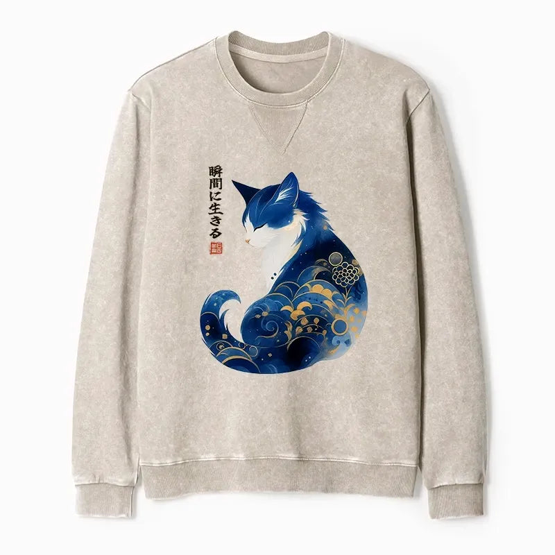 washed terry sweatshirt on sale