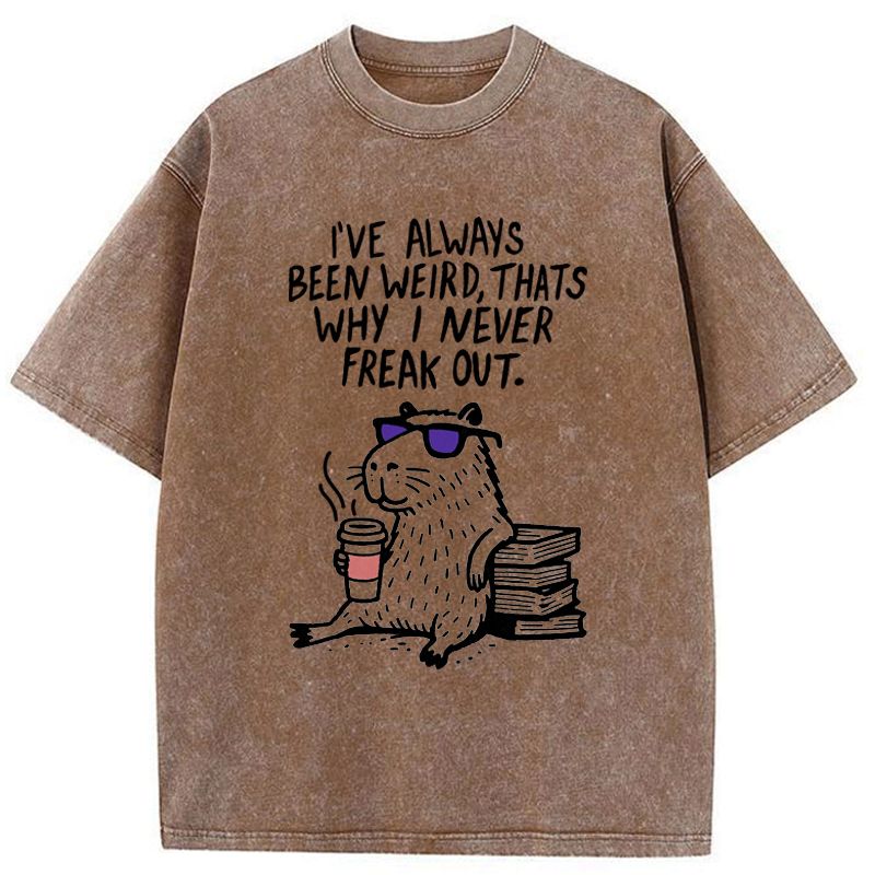 Japanese Washed T-Shirt Free Shipping