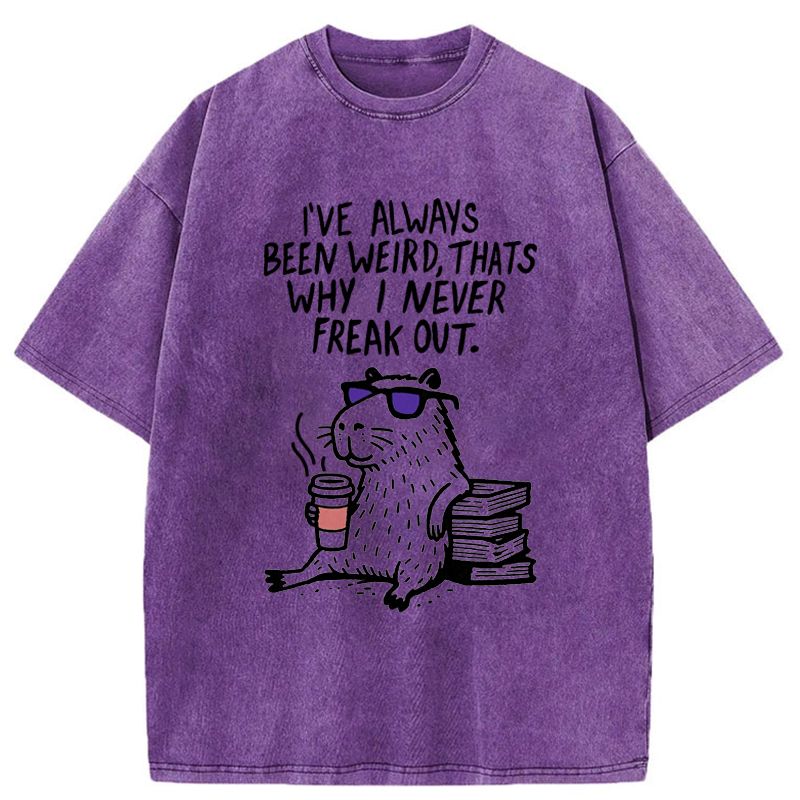 Japanese Washed T-Shirt Free Shipping