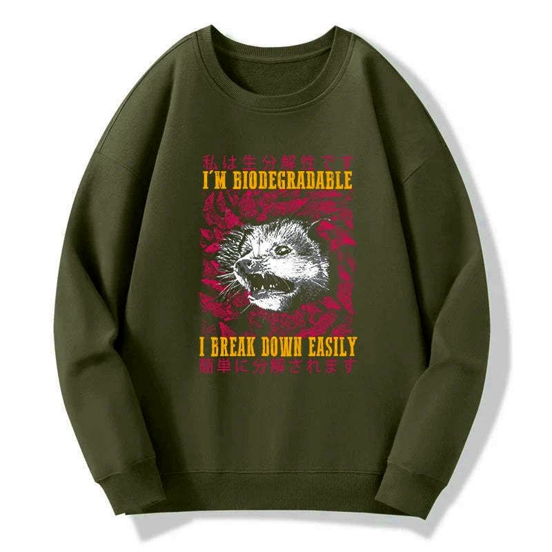 Kyoto-Lion An Easily Breakable Opossum Sweatshirt