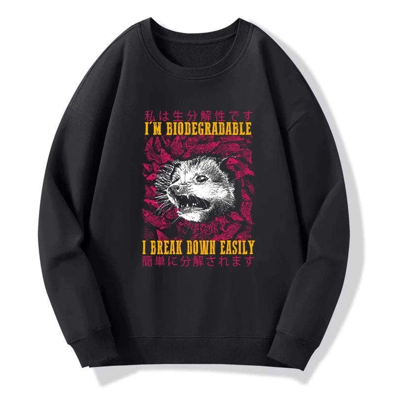 Kyoto-Lion An Easily Breakable Opossum Sweatshirt