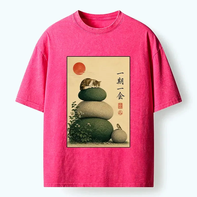 Zen Garden Kitty Washed T-Shirt for Spring