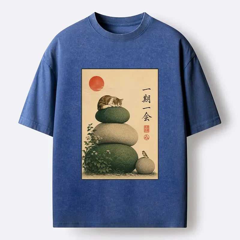 Zen Garden Kitty Washed T-Shirt for Spring