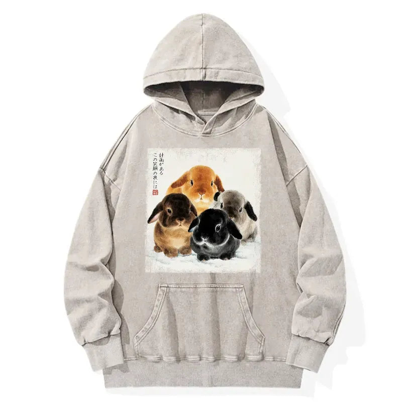 Japanese rabbit hoodie for daily wear
