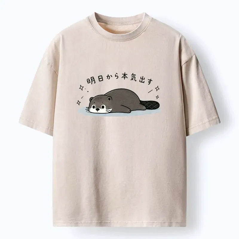 Japanese vintage washed t-shirt for daily wear