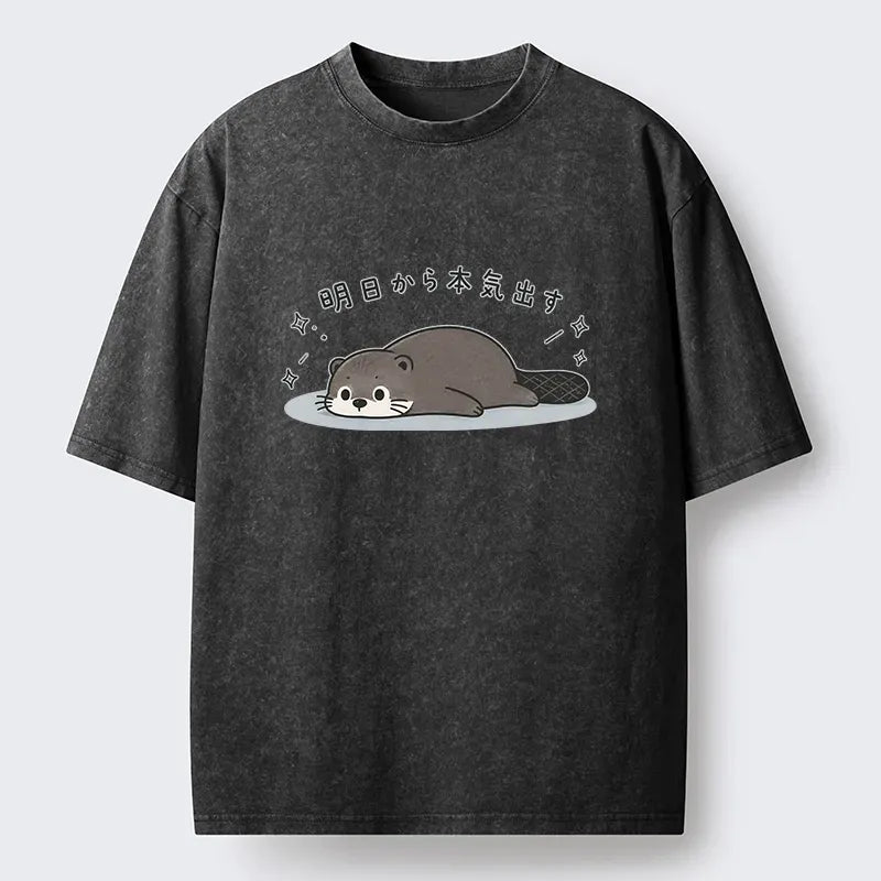 Japanese vintage washed t-shirt for daily wear