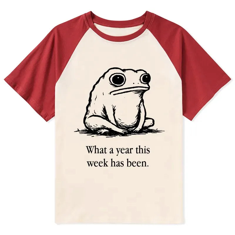 Japanese Raglan T-shirt for Daily Wear