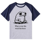 Japanese Raglan T-shirt for Daily Wear
